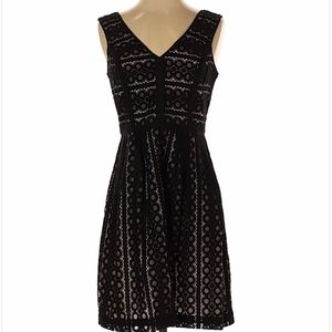 LOFT Lace dress black over nude